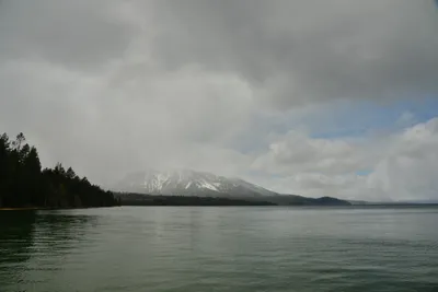 DSC_6775 (Large).JPG